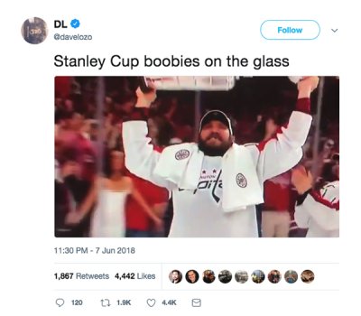 https://thechive.com/wp-content/uploads/2018/06/stanley-cup-flashing-5.jpg?attachment_cache_bust=2519424&quality=85&strip=info&w=400