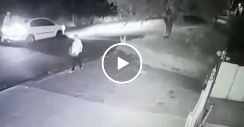Carjackers feel the cold fist of karma (Video)