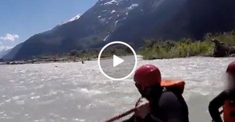 Grizzly Bear Attacks a Human on a River in Alaska