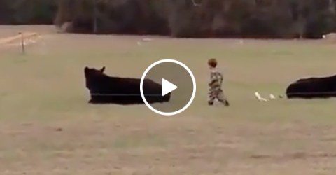 Guy bet a Kid Money He Couldn't Jump on a Cow and the Kid Did It