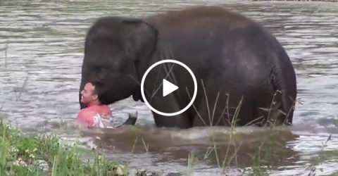 Baby elephant comes to the rescue of handler that's floating away