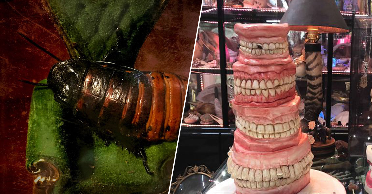 the-most-disturbing-cakes-we-d-definitely-still-eat-20-photos-thechive