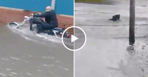 Man takes Harley for spin in the floods, instantly regrets it