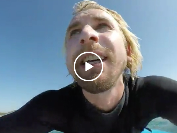 Surfer Swims Right Into Dolphins and a Huge Whale