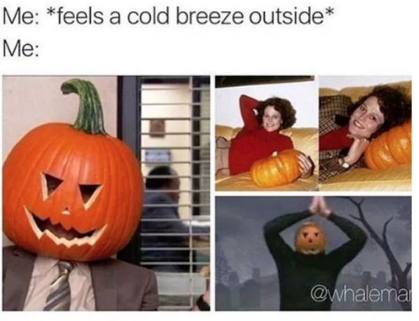 Memes for anybody who an absolute sucker for everything Fall