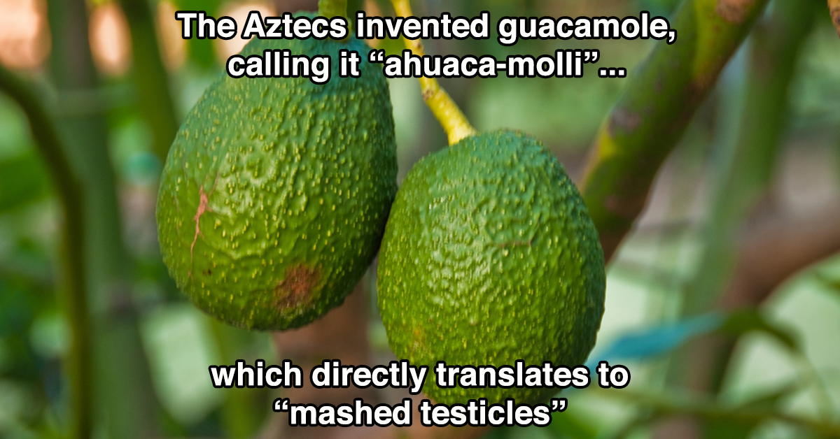 Guacamole facts that don't cost extra (11 photos)