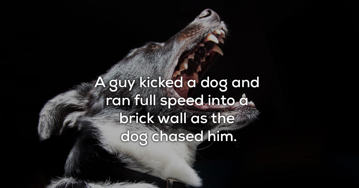 People Share Their Best ‘Instant Karma’ Stories