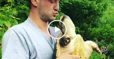 SURE, OPEN MOUTH KISS THAT SNAPPING TURTLE (Video)