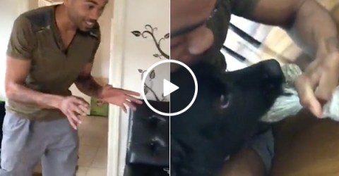 Dog steals his owner's weed, refuses to give it back (Video)