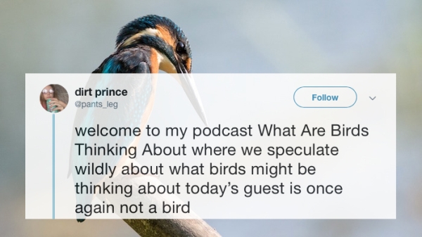 Hilarious Tweets perfectly crafted are inducing all the LOLs