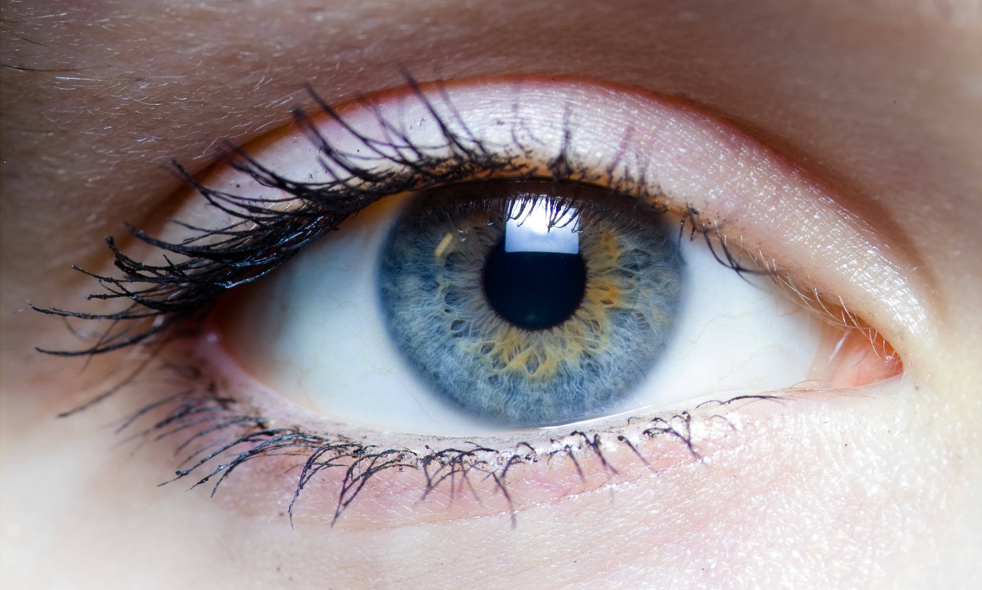 Random and Bizarre facts about the human body