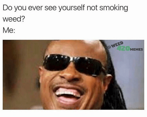 Get high on this copious amount of cannabis memes