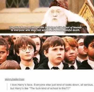 Harry Potter Memes Every Muggle Will Love 