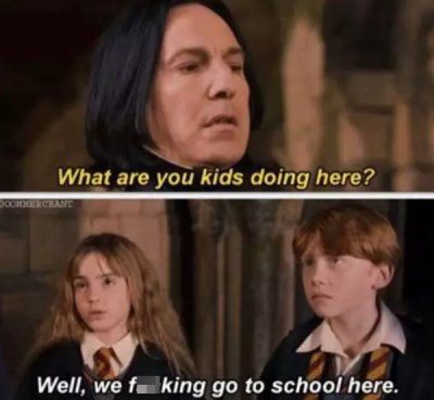 Harry Potter Memes Every Muggle Will Love 