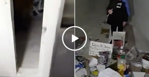 Students find a Danny DeVito shrine hidden behind a paper towel dispenser (Video)