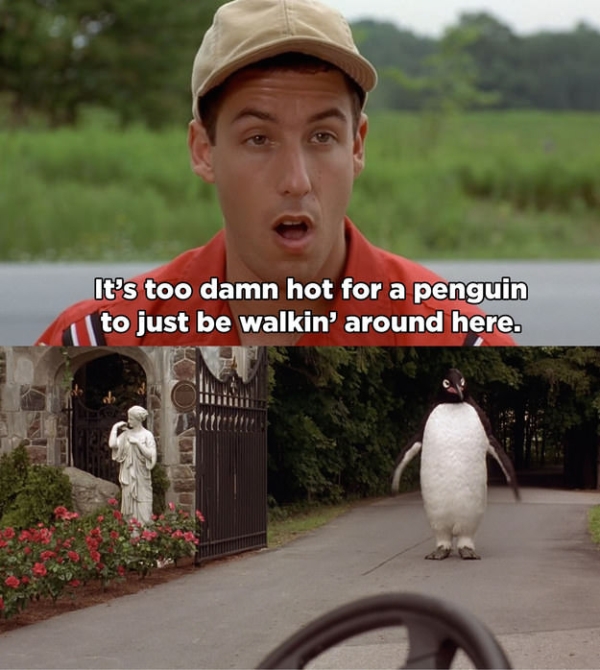 Read these ‘Billy Madison’ jokes t-t-t-today junior! (20 Photos) : theCHIVE