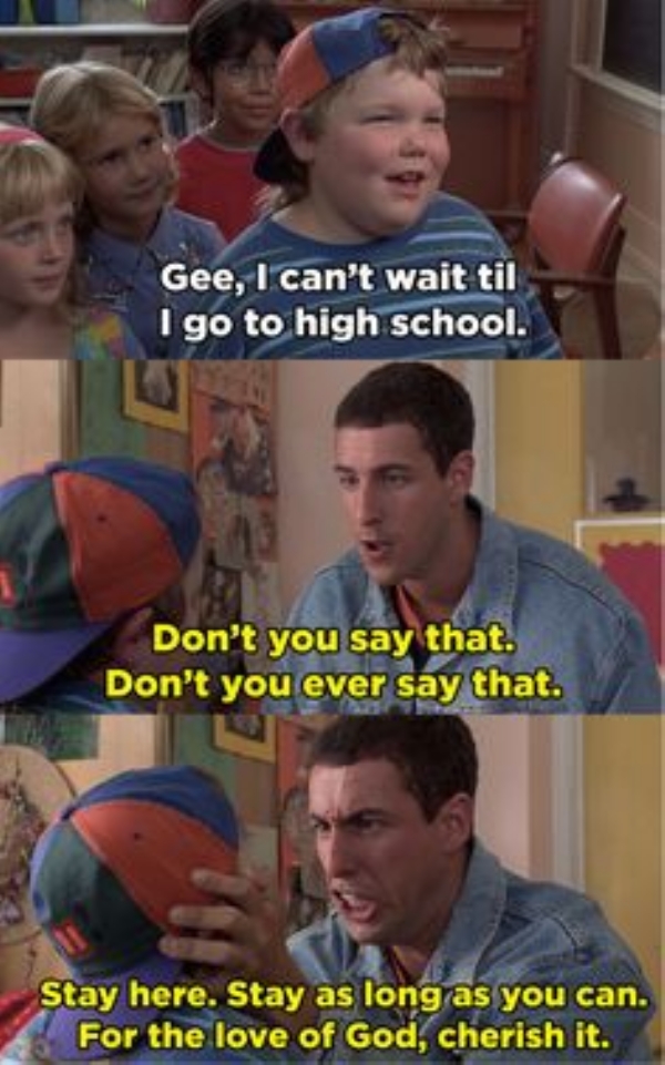 Read these 'Billy Madison' jokes ttttoday junior! (20 Photos)