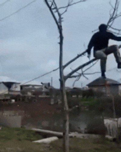FAILs so bad they're almost wins