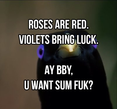 Inappropriate Roses Are Red Poems To Send Your Valentine 19 Photos Thechive