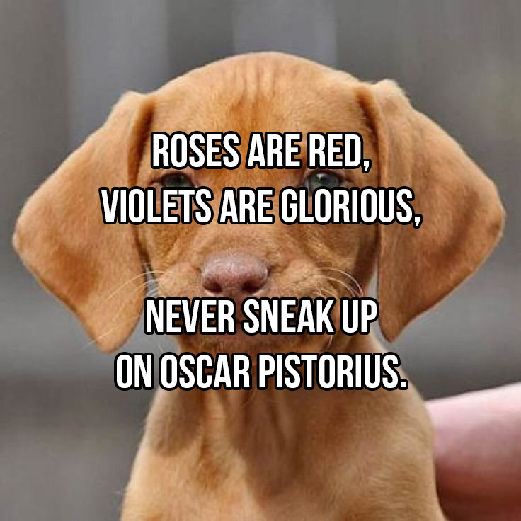 Inappropriate ‘Roses are Red’ poems to send your Valentine (19 Photos)