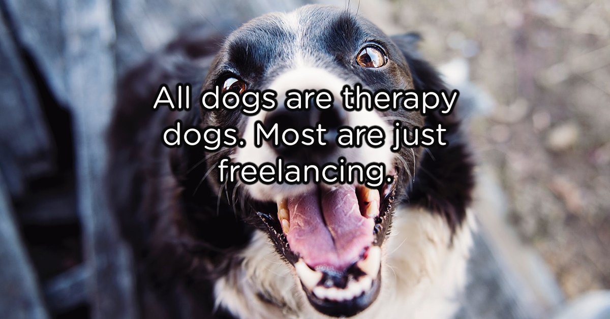 Shower thoughts that hurt my brain to think about