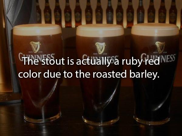 Grab a pint and pour up some facts about Guinness (17 Photos)