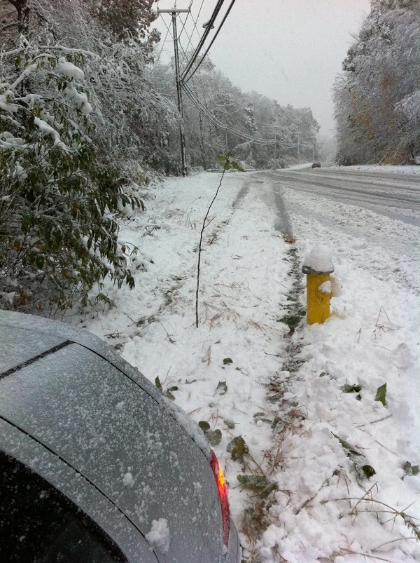 Holy Schnikes! That was a close one