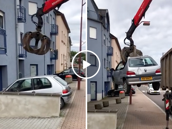 Inconsiderate neighbor parked in the WRONG driveway (Video)