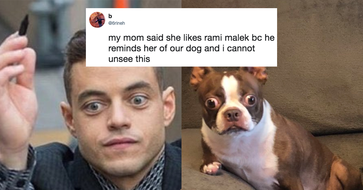 Funniest tweets of the week (20 Photos)