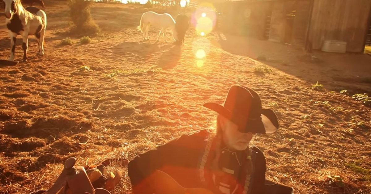 Willie Nelson rescued 70 horses and let's them roam free on his ranch