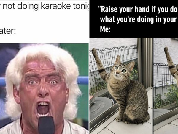 Funny Memes The Funniest And Most Hilarious Memes Ever Thechive