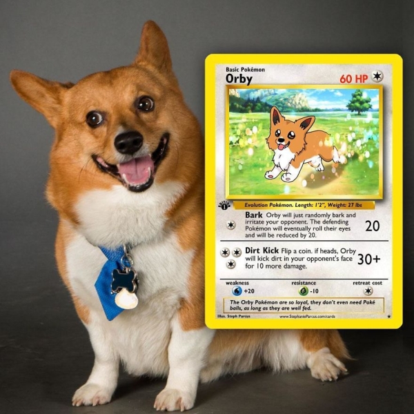 make my pet a pokemon card Some recent custom Pokmon cards I've done recently. Makes me wonder which I've done more of; dogs or cats. : r/Pokemonart I turned my dog Atom