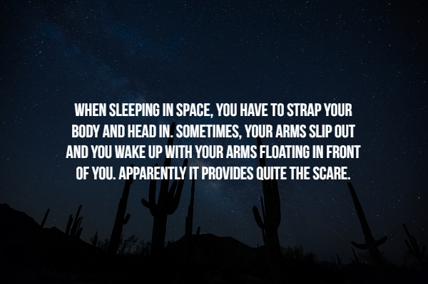 26 (number) visual data 3