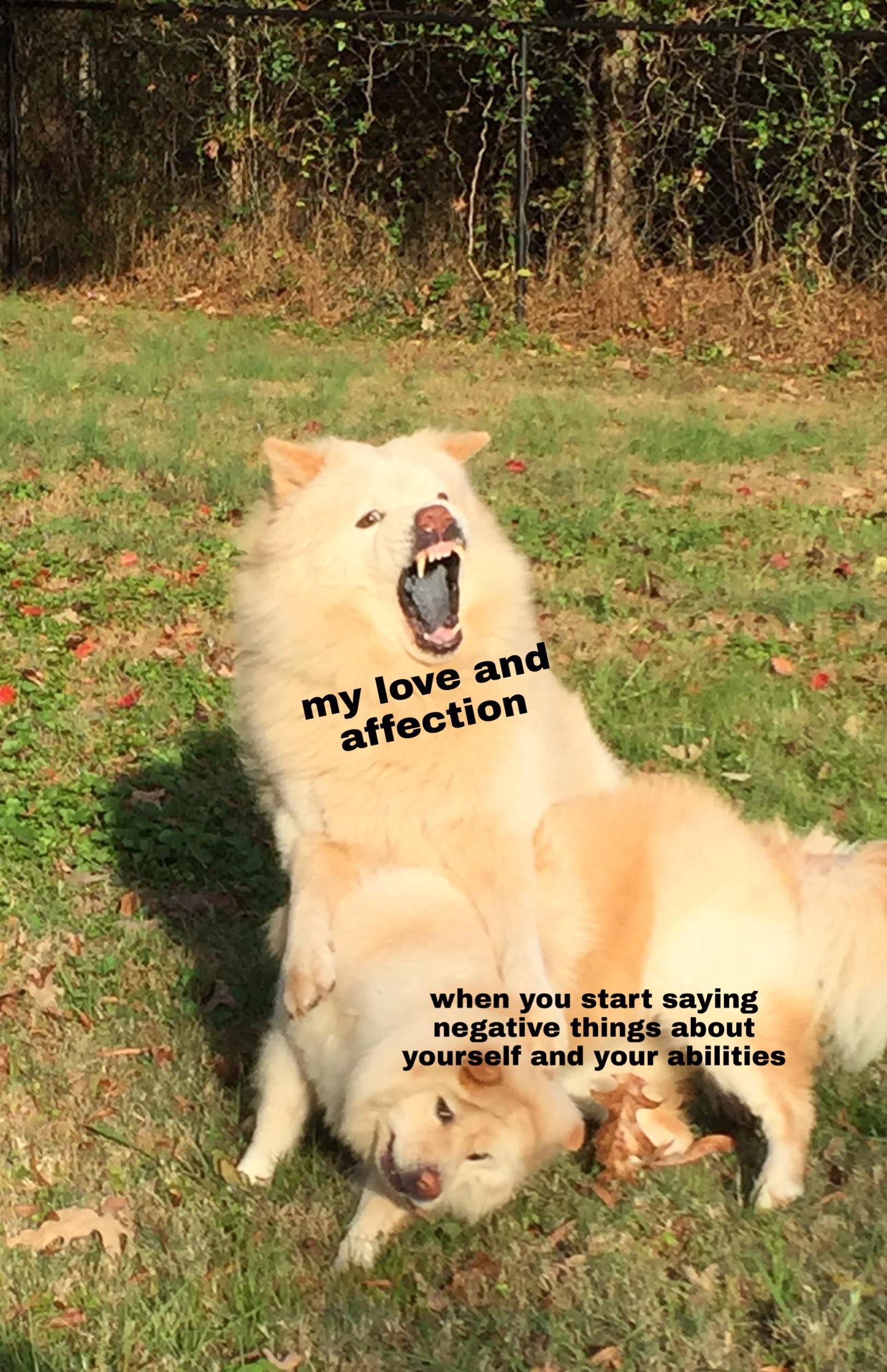 Flirtatious memes to send your SO that