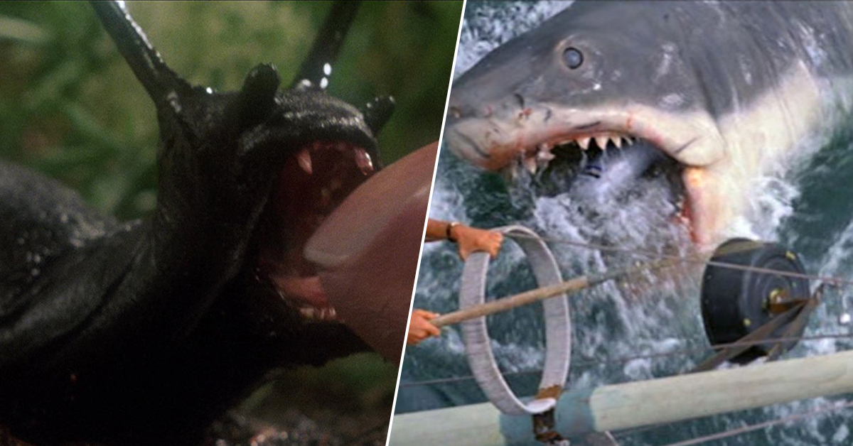 The best and the worst of killer animal movies theCHIVE