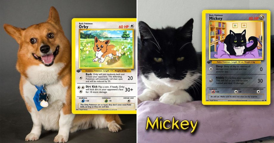 Artist transforms pets into Pokemon cards and we want to play! Artist transforms pets into Pokemon cards and we want to play!