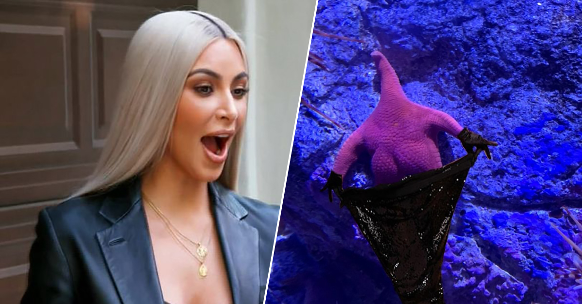 Starfish With A Kardashian Booty Gets Photoshopped In Epic Ways TheCHIVE