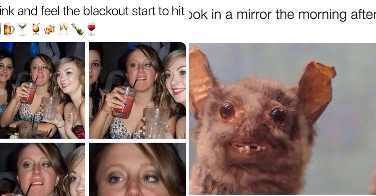 Memes About Alcohol, Wine, Beer, Alcohol, Whiskey, and Partying : theCHIVE