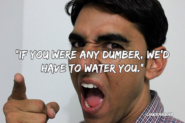 People Share The Best Insults Theyve Ever Heard 