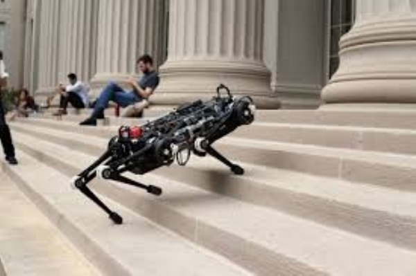 Crazy Robots Being Built Are A Whole Lot Of Nope