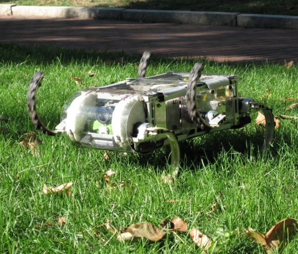 Crazy Robots Being Built Are A Whole Lot Of Nope