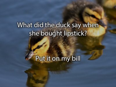 A Whole Bunch Of Jokes For National Joke Day A Whole Bunch Of Jokes For National Joke Day