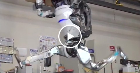 Boston Dynamics is training ninja robots, and we had a good run humanity (Video)