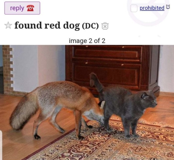 The weirdest most WTF ads seen on Craigslist (32 Photos)