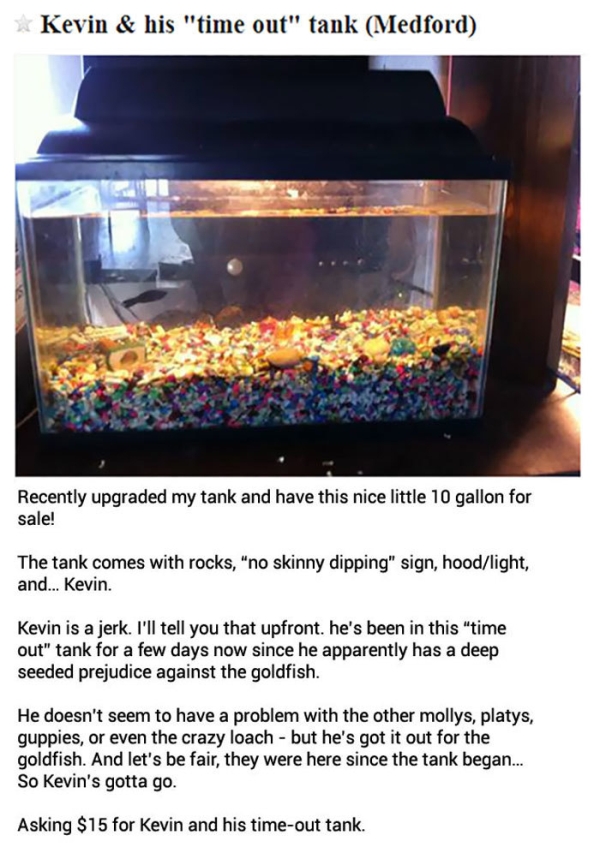 The weirdest most WTF ads seen on Craigslist (32 Photos)