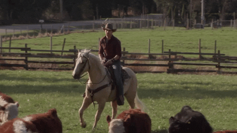 Rancher gets hilarious revenge on litigious neighbors
