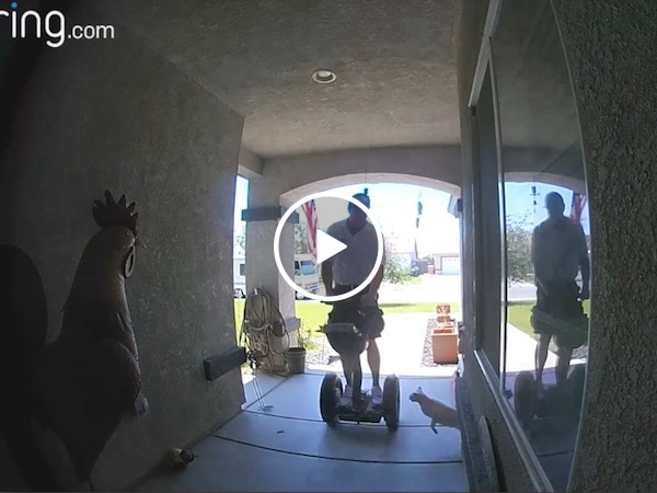 Security cat takes out a door-to-door salesman (Video)
