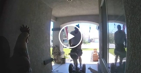 Security cat takes out a door-to-door salesman (Video)
