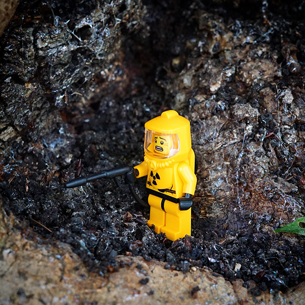 Is it too late to a LEGO master builder?