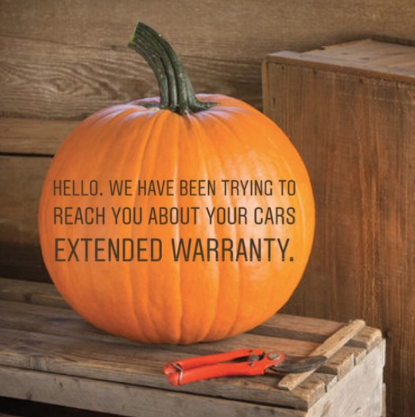 The Painfully Relatable Jack-O-Lanterns Are THE Spookiest